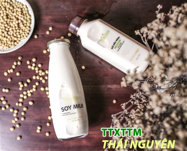 Sữa đậu nành Soy milk