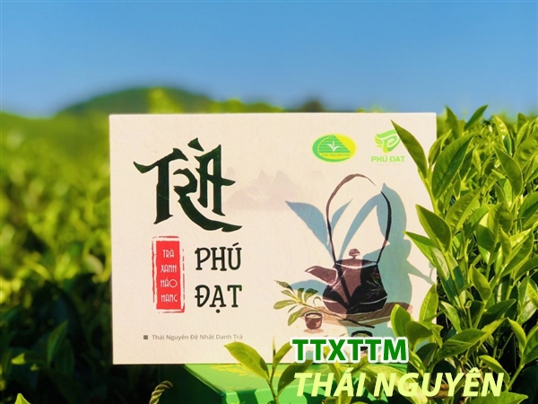 Tâm Như Trà Nõn - Phú Đạt