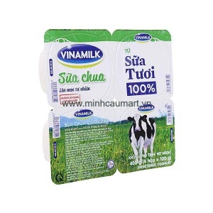 Sữa chua từ sữa tươi 100% Vinamilk 100g