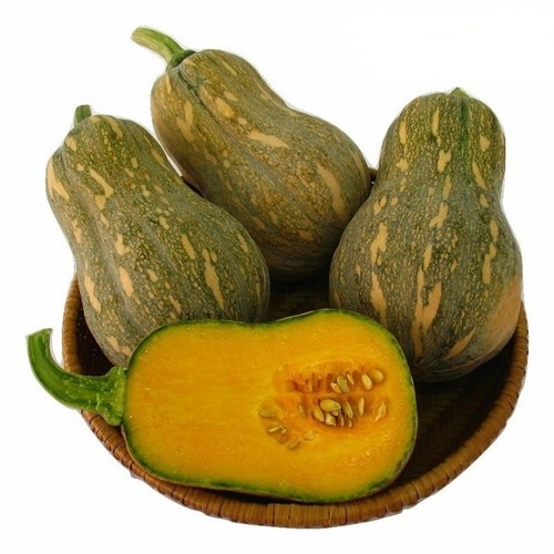 Bí đỏ