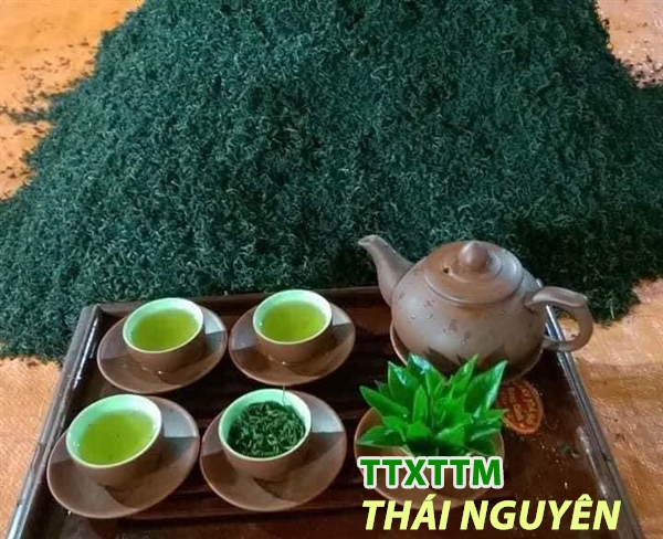 Trà Đinh Nõn