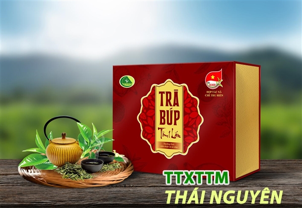 Chè búp tôm 1 lá - Thu Hiền