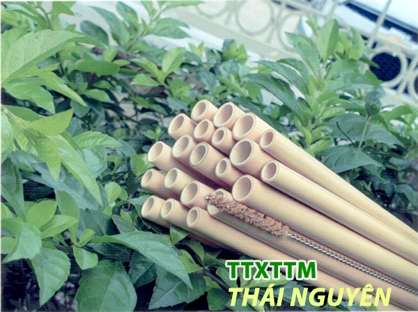 Ống hút tre
