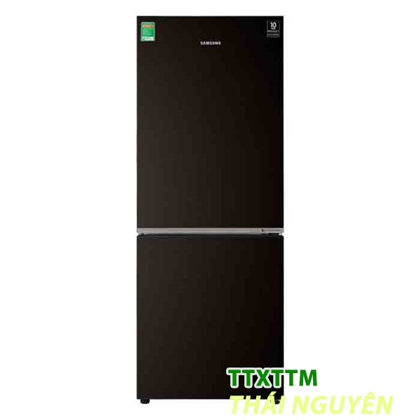 Tủ lạnh Samsung Inverter 236 lít RT22M4032BY