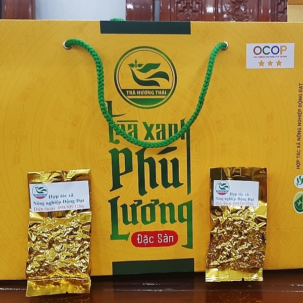 Trà Xanh Phú Lương