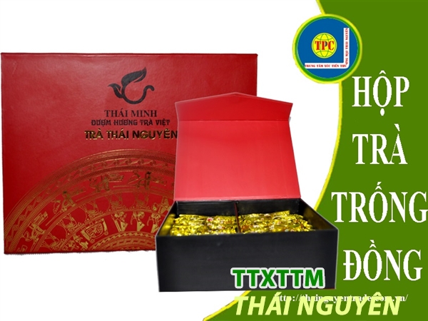 Trà Thái Minh- Hộp trà trống đồng 100g