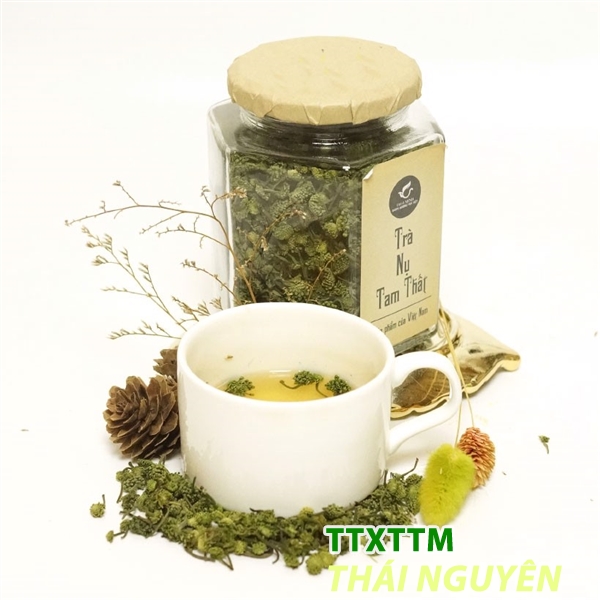 Trà Thái Minh- Trà nụ tam Thất