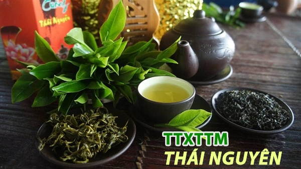 Trà tôm nõn Khe cốc