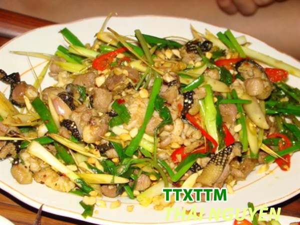 Thỏ xào lăn