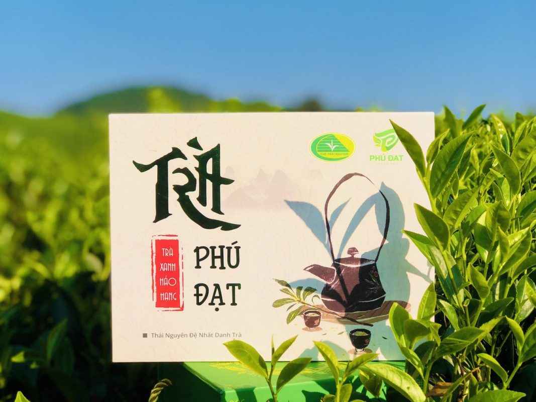 Tâm Như Trà Nõn - Phú Đạt