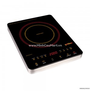 Bếp Từ Goldsun GHY 116