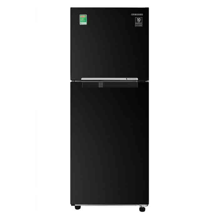 Tủ lạnh Samsung Inverter 208 lít RT20HAR8DBU