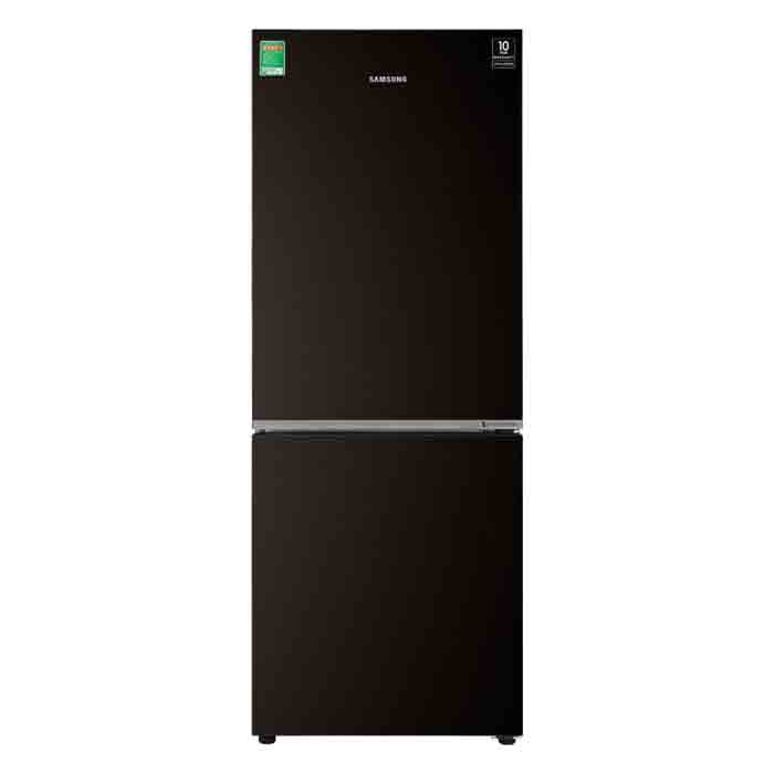 Tủ lạnh Samsung Inverter 236 lít RT22M4032BY