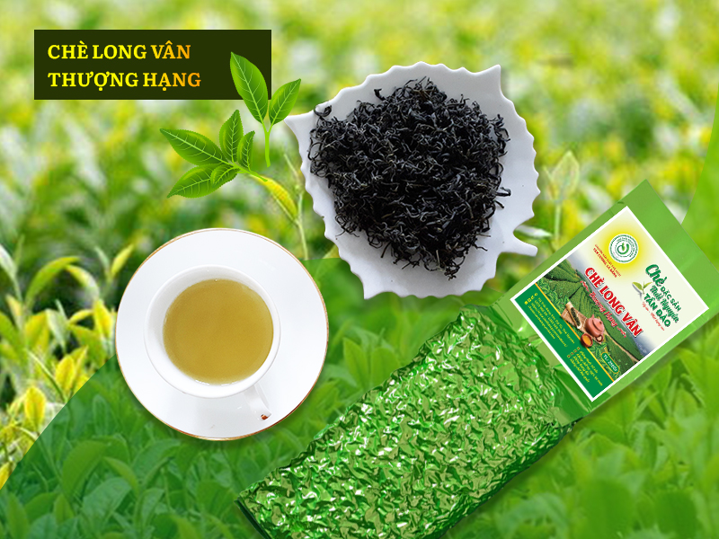 Long Vân Trà