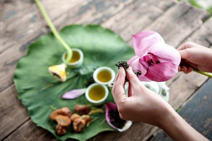 Trà bông sen tươi