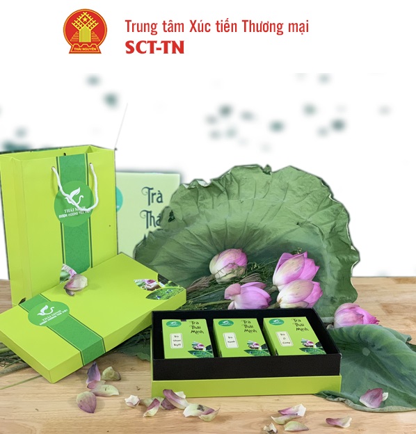 Trà Thái Minh- Hộp chè quà tặng trân quý